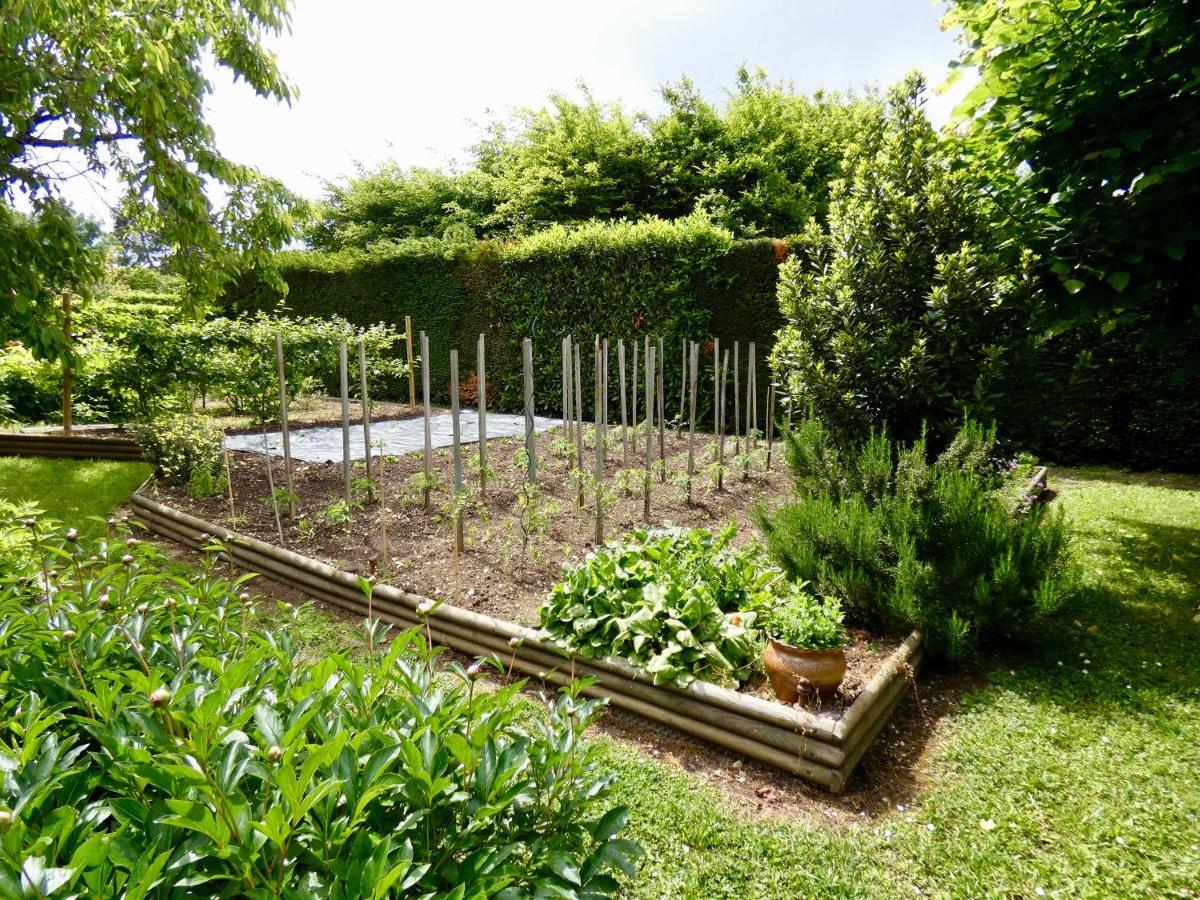 "La Veranda" Gite Verdigny Exterior foto