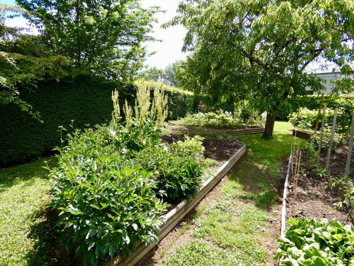 "La Veranda" Gite Verdigny Exterior foto